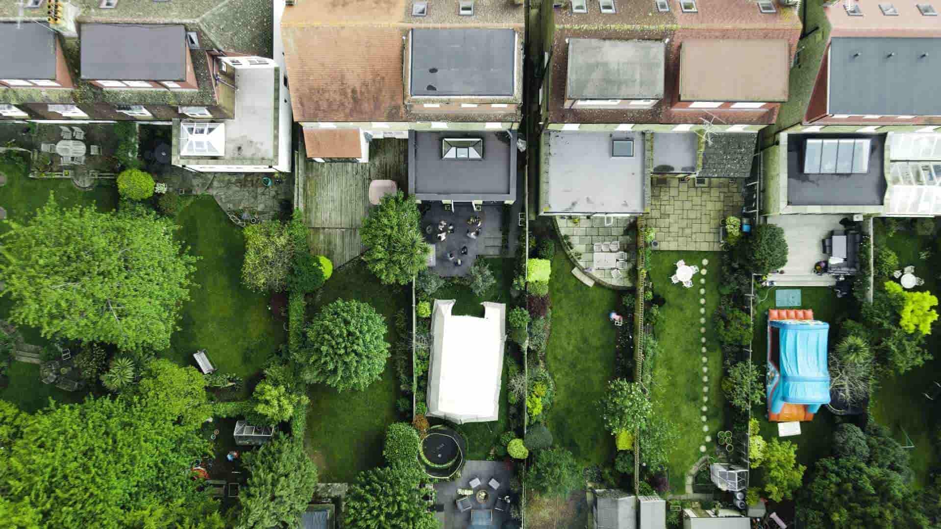 Bully Neighbor Cut Our Trees