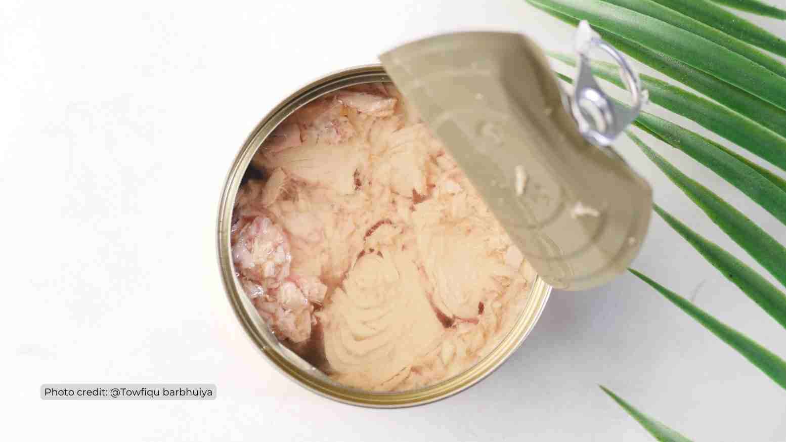 Opened can of tuna