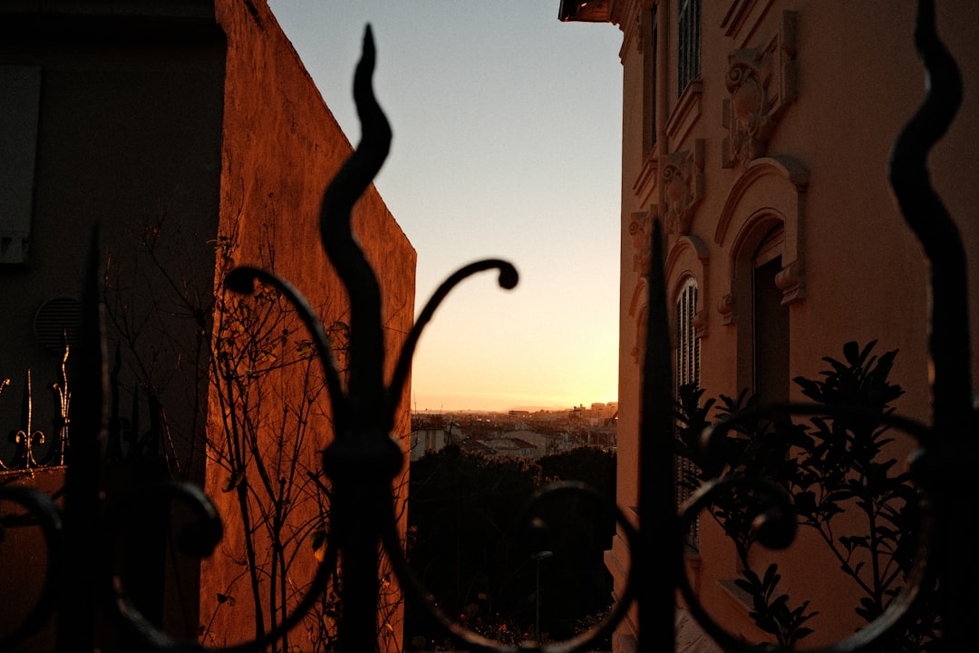Sunset viewed through a decorative metal gate.